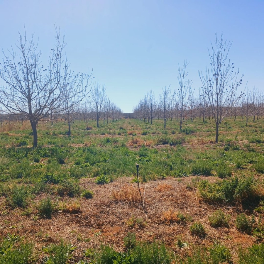  Bedroom Property for Sale in Hartswater Rural Northern Cape